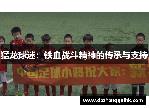 猛龙球迷：铁血战斗精神的传承与支持